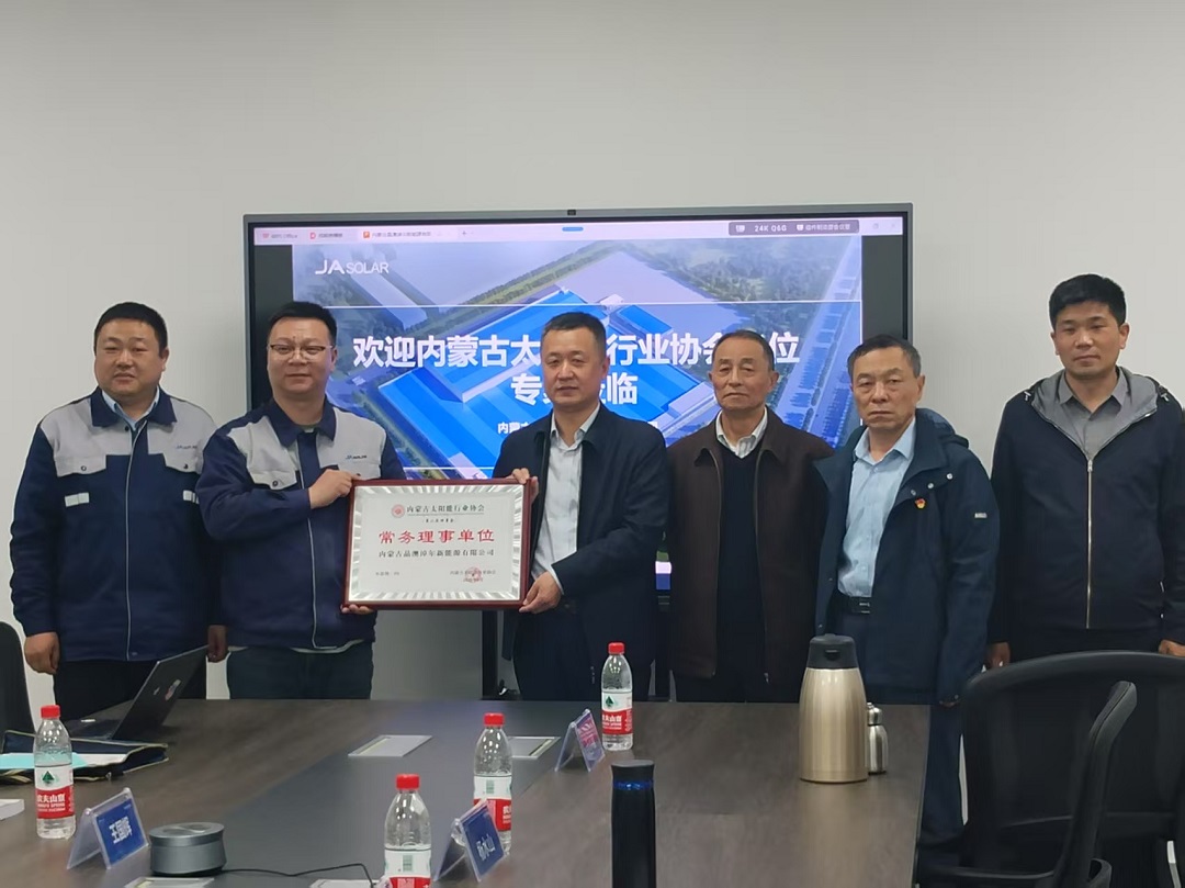 内蒙古太阳能行业协会专家组赴内蒙古晶澳淖尔新能源有限公司开展战略性新兴产业认定现场评审并调研2.jpg