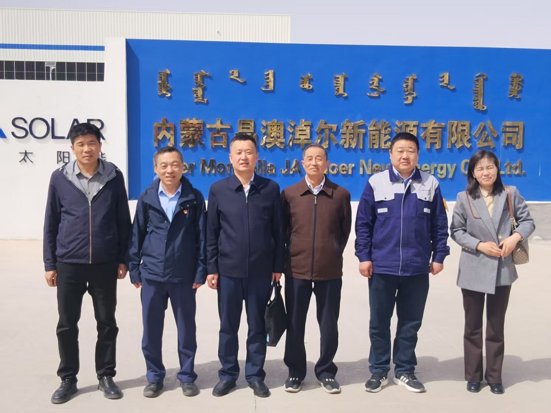 内蒙古太阳能行业协会专家组赴内蒙古晶澳淖尔新能源有限公司开展战略性新兴产业认定现场评审并调研4.jpg